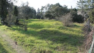 Terreno de 750 m² em Leiria