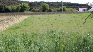 Terreno em Rio Maior