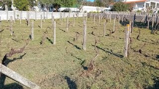 Land for sale in Abrantes, Portugal — €38,000