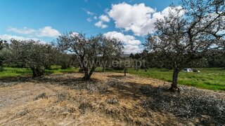 Land for sale in Fundão, Portugal — €13,200