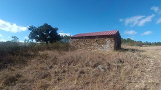 Terreno em Castelo Branco · 4920 m² · 25 000 €
