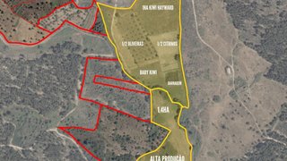 Terreno de 50 000 m² em Castelo Branco