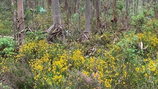 Land for sale in Alvaiázere, Portugal — €55,000