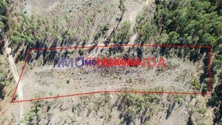 Terreno · 6865 m² · 4000 €