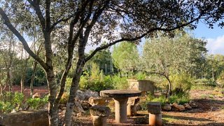 Land for sale in Torres Novas, Portugal — €49,950