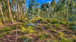 Terreno em Batalha · 2929 m² · 6500 €