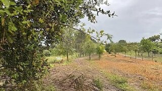 Land for sale in Coruche, Portugal — €37,000