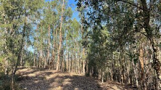 Land for sale in Tomar, Portugal — €12,000