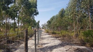 Land for sale in Coruche, Portugal — €129,900