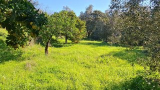 Land for sale in Tomar, Portugal — €49,500