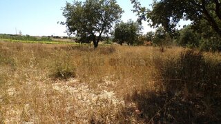 Land for sale in Alcobaça, Portugal — €32,000