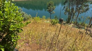 Land for sale in Tomar, Portugal — €45,000