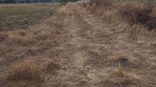 Land for sale in Idanha-a-Nova, Portugal — €68,500