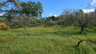 Land for sale in Penamacor, Portugal — €23,000