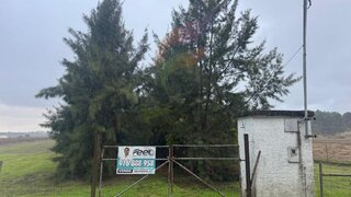 Land for sale in Alpiarça, Portugal — €100,000