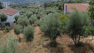Land for sale in Pedrógão Grande, Portugal — €41,000