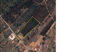 Land for sale in Tomar, Portugal — €10,000