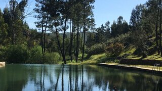 Terreno em Mação