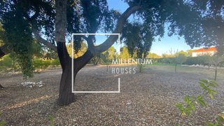 Land for sale in Benavente, Portugal — €180,000
