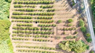 Terreno em Caldas da Rainha