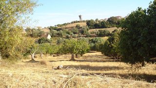 Land for sale in Torres Novas, Portugal — €65,500