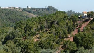 Land for sale in Alcobaça, Portugal — €39,000