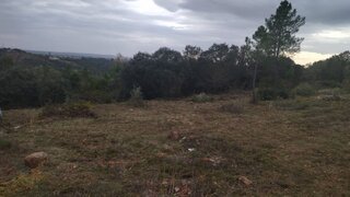 Land for sale in Tomar, Portugal — €55,000
