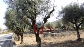 Land for sale in Porto de Mós, Portugal — €30,000