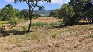 Land for sale in Caldas da Rainha, Portugal — €97,500
