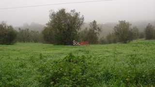 Terreno de 14 600 m² em Santarém