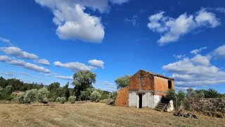 Land for sale in Mação, Portugal — €55,000