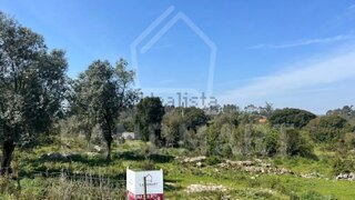 Land for sale in Alcobaça, Portugal — €100,000