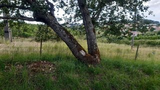 Land for sale in Alcobaça, Portugal — €45,000