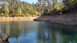 Land for sale in Tomar, Portugal — €8,000