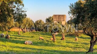 Land for sale in Alcanena, Portugal — €250,000