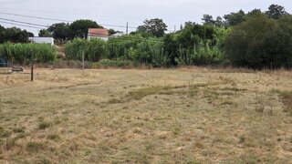 Land for sale in Coruche, Portugal — €95,000