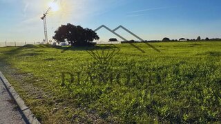 Land for sale in Alpiarça, Portugal — €185,800