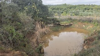 Land for sale in Ferreira do Zêzere, Portugal — €25,000