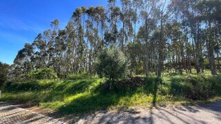 Land for sale in Caldas da Rainha, Portugal — €110,000