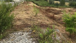 Terreno para venda em Batalha, Portugal — 70 000 €