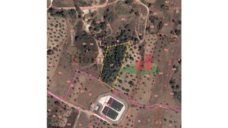 Terreno de 4200 m² em Santarém