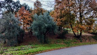 Land for sale in Castanheira de Pêra, Portugal — €30,000