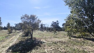 Terreno em Castelo Branco · 48 200 m² · 97 750 €
