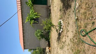 Land for sale in Fundão, Portugal — €230,000