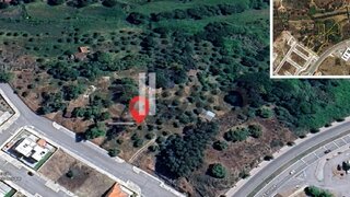 Terreno de 8625 m² em Castelo Branco