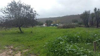 Land for sale in Ourém, Portugal — €14,900
