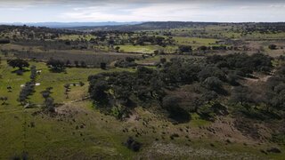 Land for sale in Idanha-a-Nova, Portugal — €30,000
