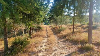 Land for sale in Chamusca, Portugal — €103,000
