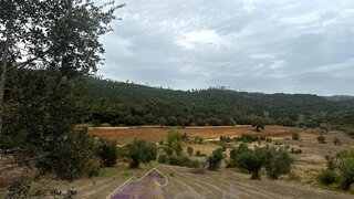 Land for sale in Tomar, Portugal — €16,500