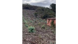Terreno em Peniche